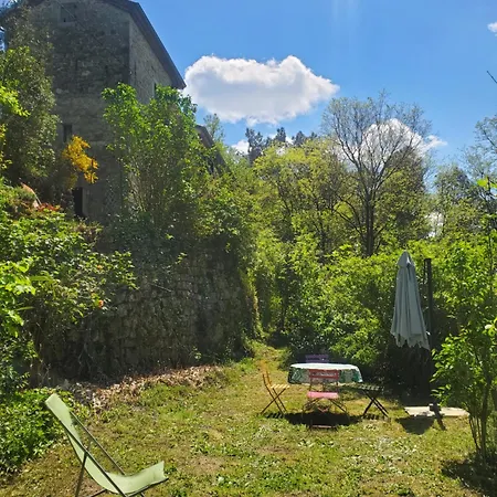 Les Micocouliers
